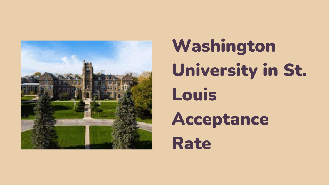 Washington-University-in-St. Louis-Acceptance-Rate